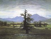 Caspar David Friedrich, The Lone Tree